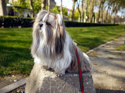 c0090198_2463511.jpg