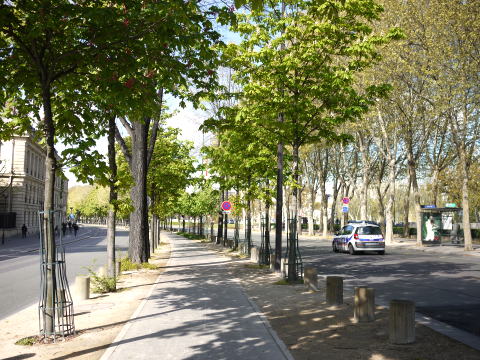 c0090198_2465740.jpg