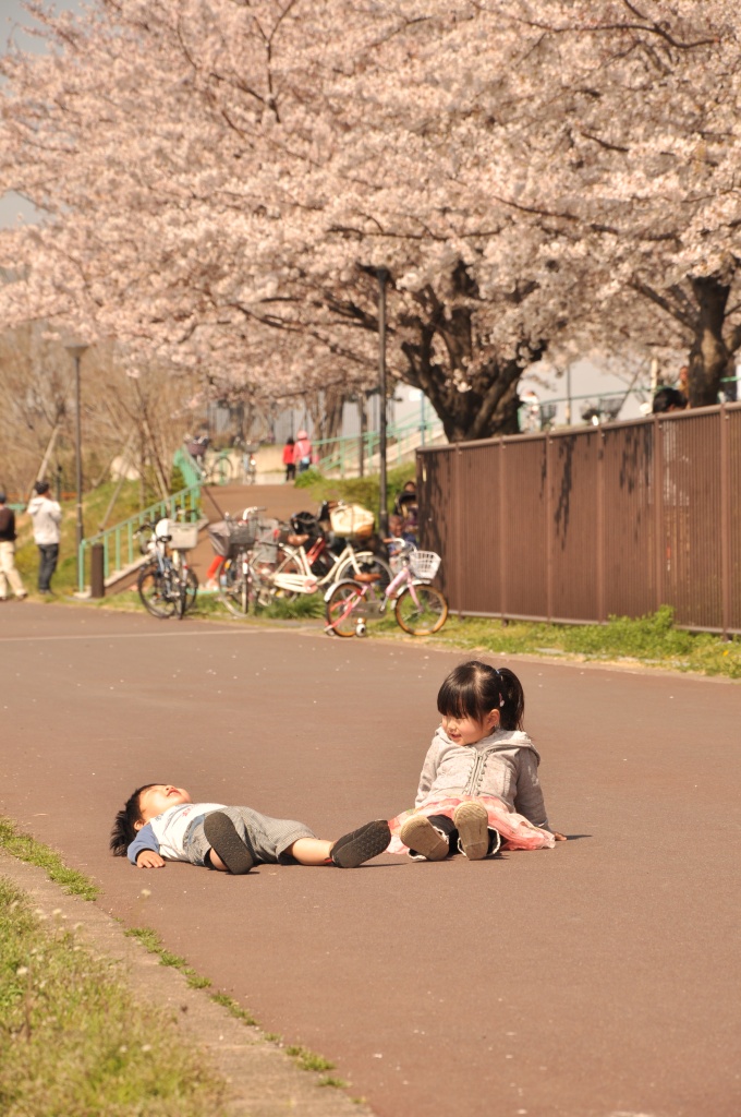 ☆ご近所お花見☆_c0225498_0225944.jpg