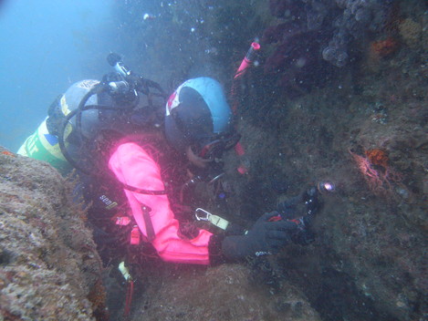 e0115199_16172332.jpg