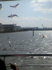 f0143299_44687.jpg