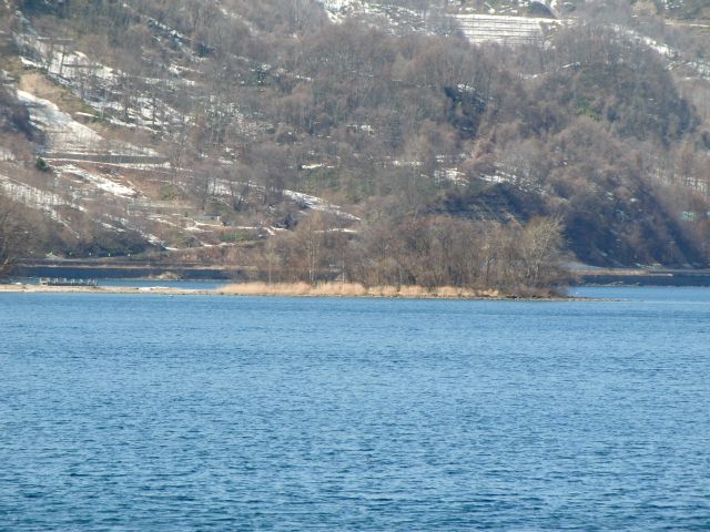 a0101404_644529.jpg