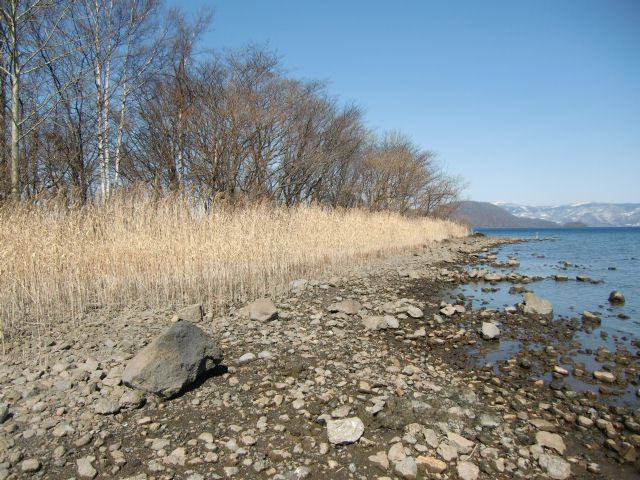 a0101404_6454848.jpg