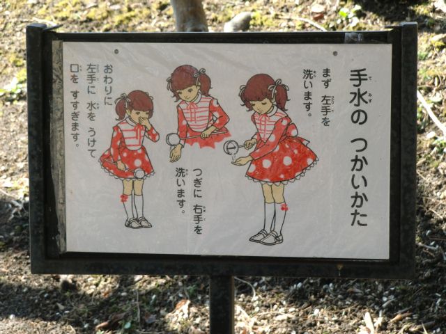 a0101404_6554750.jpg