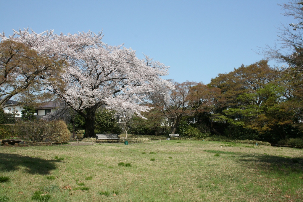 春の散策_b0049307_1416457.jpg