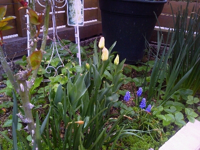 c0207810_13382959.jpg