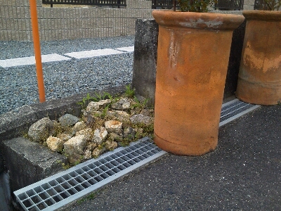 c0207810_13465094.jpg