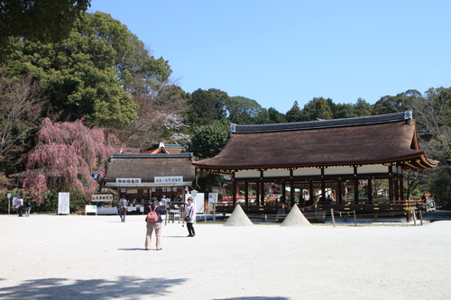 上賀茂神社 咲きそろい_e0048413_223038.jpg
