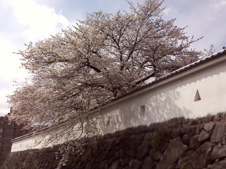 e0049015_211688.jpg
