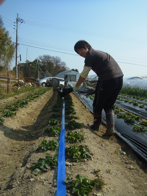 田鶴さん訪問_f0142721_8484268.jpg