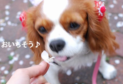 f0214121_21465654.jpg