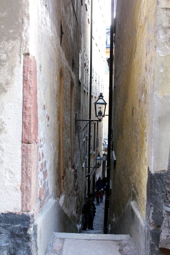 e0250023_6452114.jpg