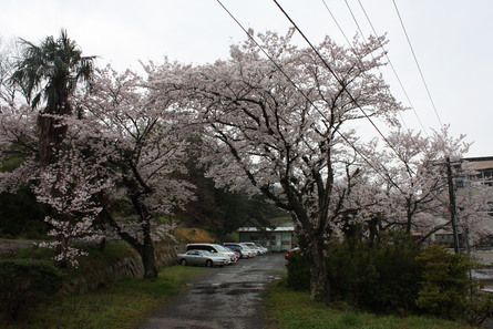 笠岡西中学校_e0264823_0481267.jpg