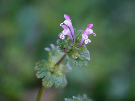 c0184125_2351053.jpg