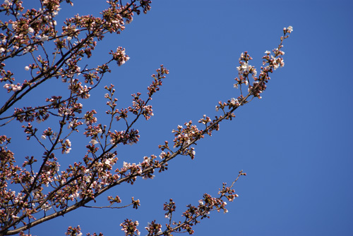c0184125_2354317.jpg