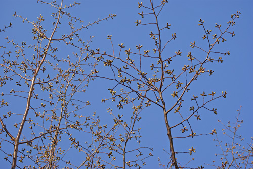 c0184125_2381498.jpg