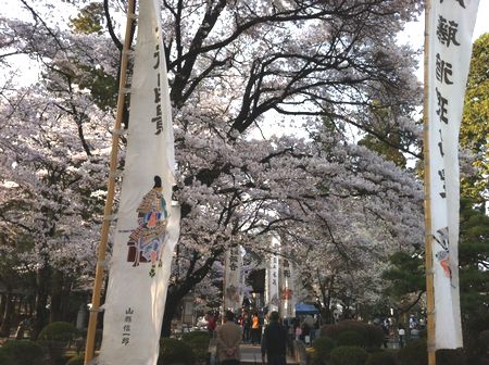 お祭りに行ってきました! _f0076925_15314417.jpg