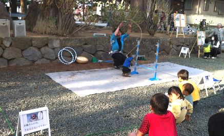 お祭りに行ってきました! _f0076925_15322420.jpg