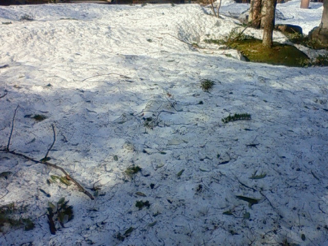 f0085327_13105218.jpg