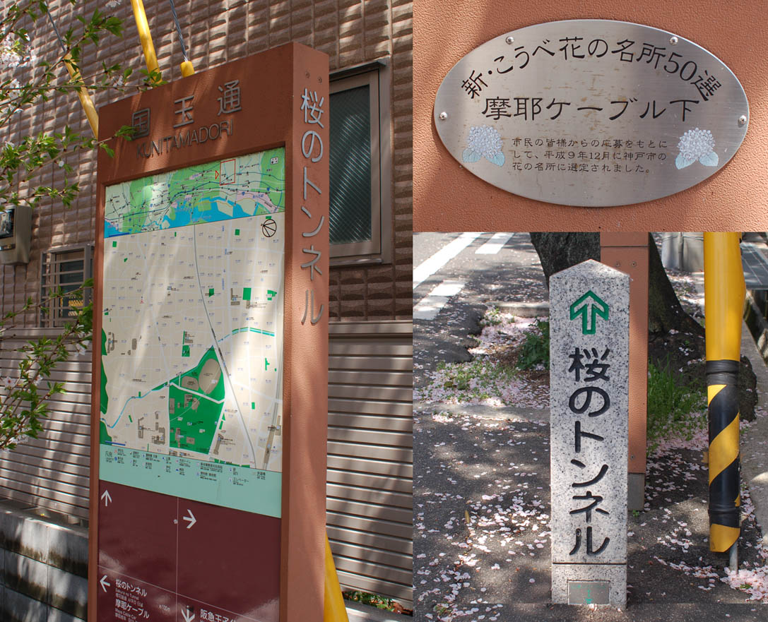神戸は山の手にある桜の名所、「桜のトンネル」の下で思う。_e0158128_15475742.jpg