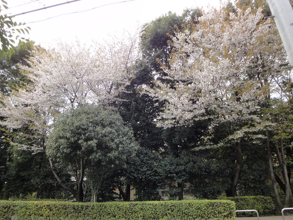 c0178231_1445891.jpg