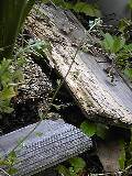 c0073332_1055357.jpg