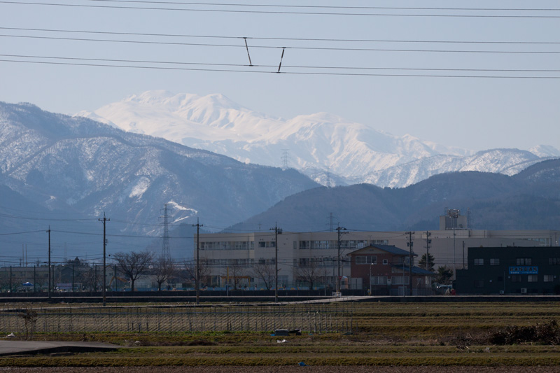b0177233_53979.jpg