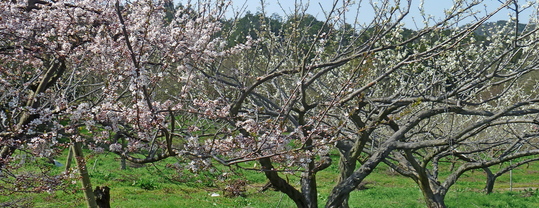 b0246036_7291010.jpg