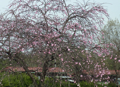 f0206939_0213189.jpg