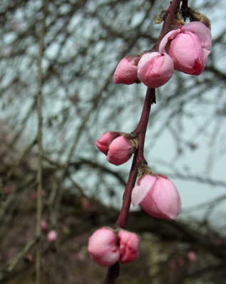 f0206939_0214830.jpg
