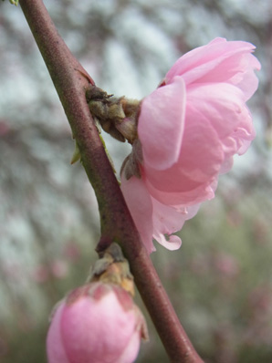 f0206939_0223810.jpg