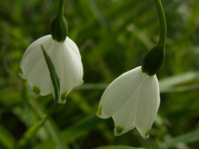 f0206939_0381422.jpg