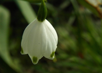 f0206939_038438.jpg
