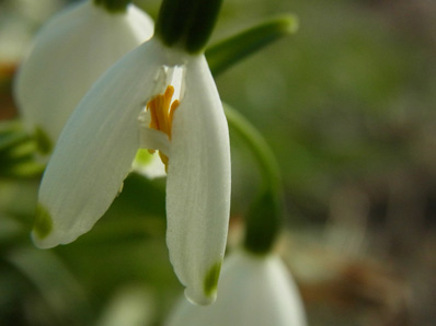 f0206939_0393168.jpg