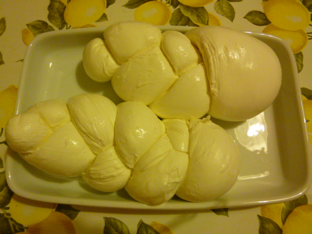 d0170140_1526331.jpg