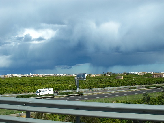 d0167041_50347.jpg