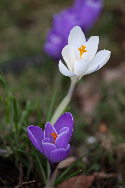 c0035245_22552890.jpg