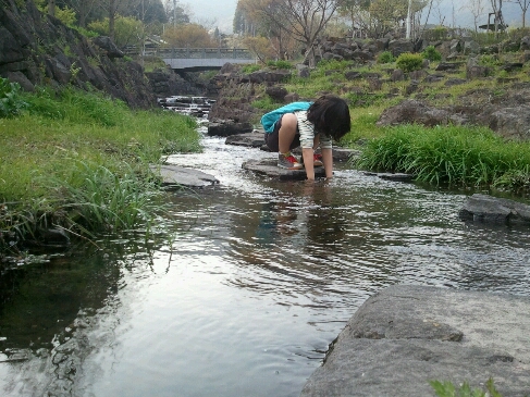 f0178145_06882.jpg