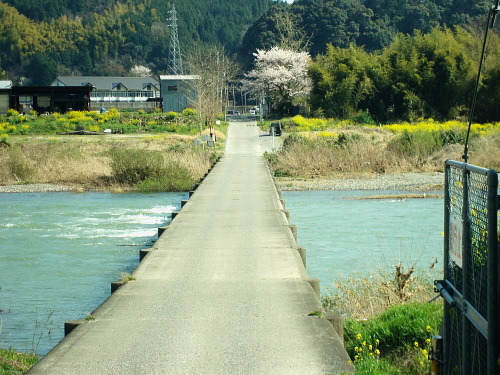 憧れのカタクリの花_b0066947_1884664.jpg