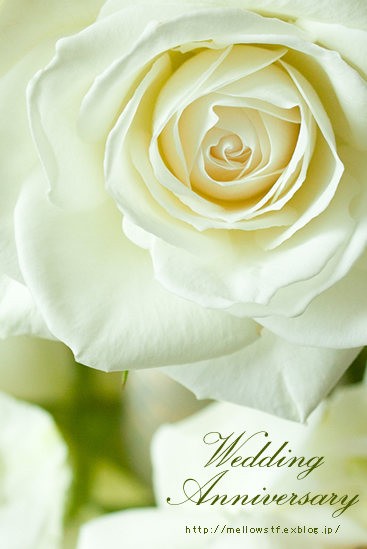 9回目の結婚記念日。_d0124248_1803185.jpg