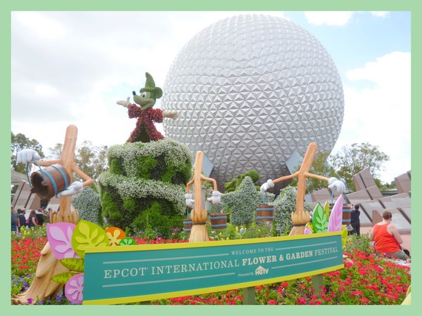 Walt Disney World Resort　・・・5日目_f0235849_004424.jpg