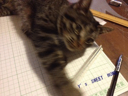 c0244650_18684.gif