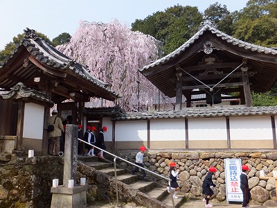 d0048350_20354381.jpg