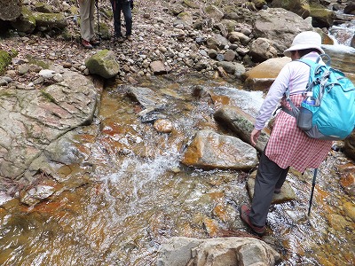 d0048350_20364772.jpg