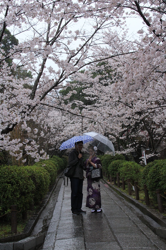 雨の京都_d0163550_705175.jpg