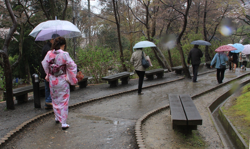 雨の京都_d0163550_73640.jpg