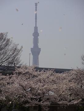 今年ふぅ～。_d0229551_18395625.jpg