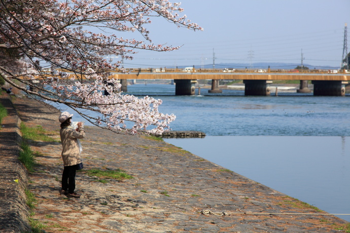 宇治川沿いを歩く_a0176855_22455166.jpg