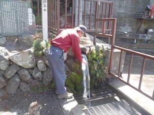 秩父の山：若御子山・大反山（おおそりやま）を歩き清雲寺で花見_d0032262_1653610.jpg