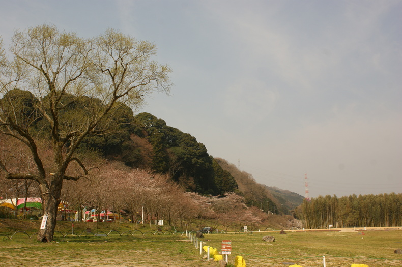 お花見キャンプ　in　笠置キャンプ場♪　その②_f0161964_22363823.jpg